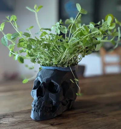 Geometric Skull Planter