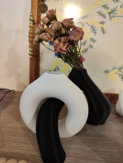 Liora Abstract Vase Set