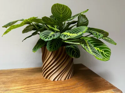 Aurora Swirl Planter