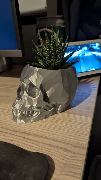 Geometric Skull Planter