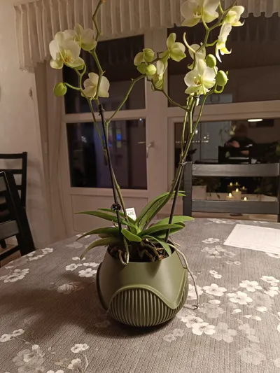 Orbit Planter