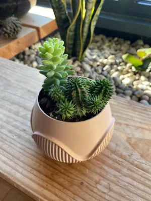 Orbit Planter