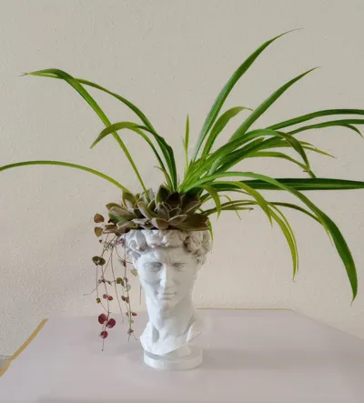 David Planter